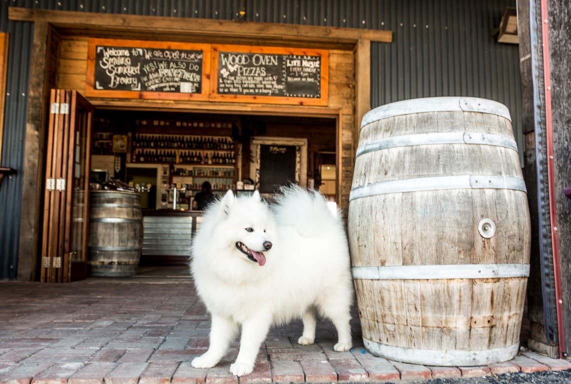 Gallery image 1 for Smiling Samoyed Brewery