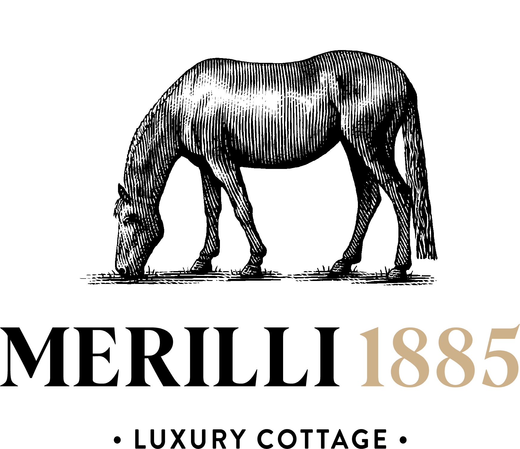 Merilli1885 + Merilli Angus logo
